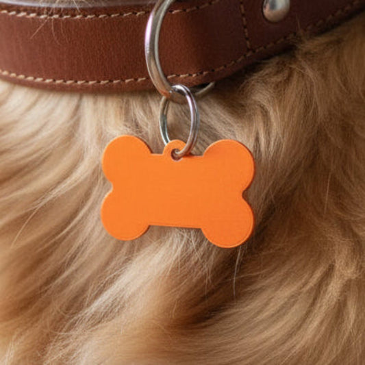 Knochenförmiger Schlüsselanhänger aus Metall am Leder-Hundehalsband